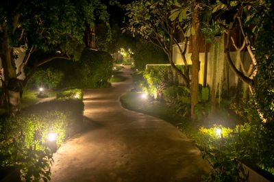 Nighttime Garden Ambiance