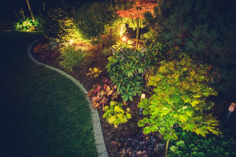 Landscape Feature Lighting