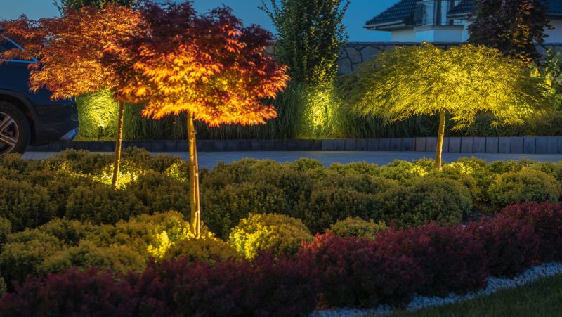Landscape Lighting Service