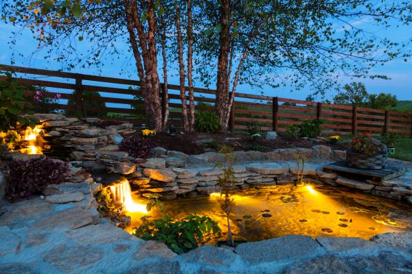 Pond Lighting Installation Service