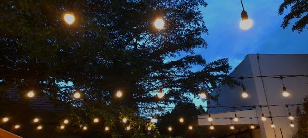 Outdoor Lighting Setup