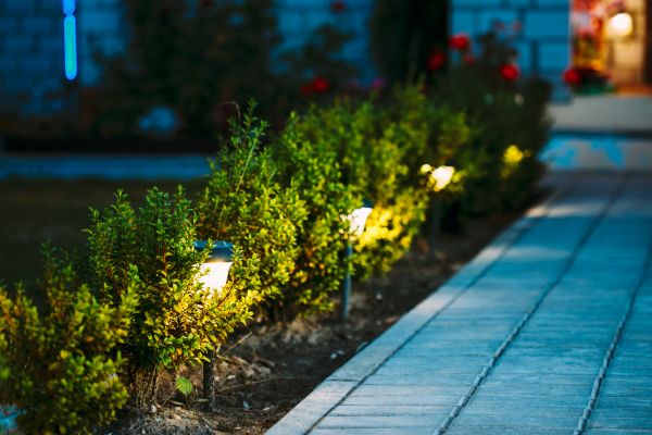 Landscape Lights Installation